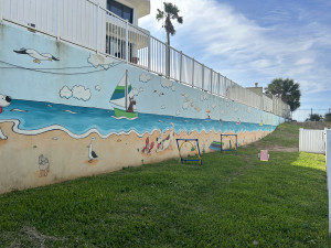 IMG-7453-300x225