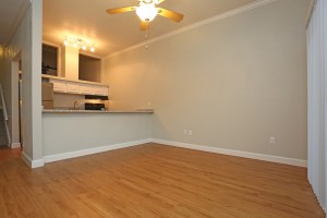 Living-1-300x200