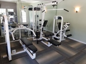 OFL-GYM-1-300x225