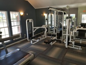 OFL-GYM-2-300x225